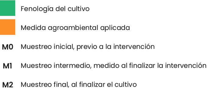 Recurso 2carpeta prueba