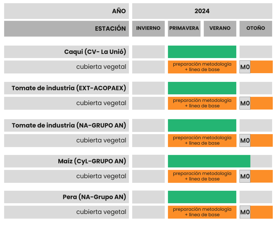 tabla-24