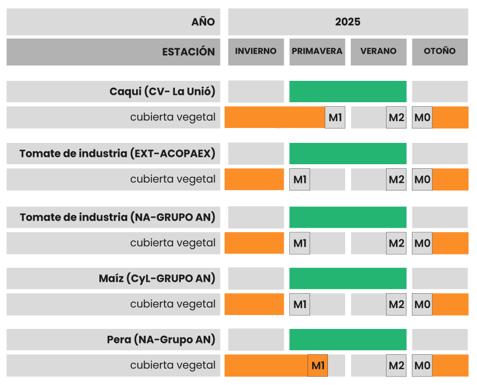 tabla-25