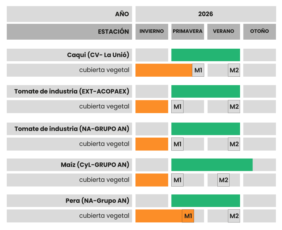 tabla-26